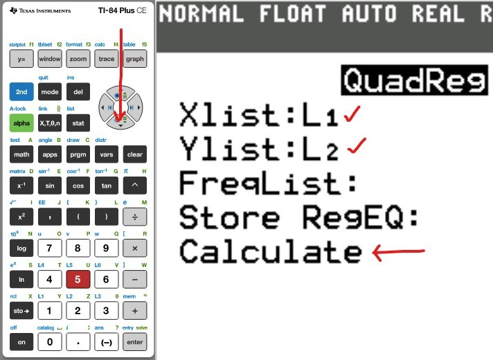 Quadratic Model 6